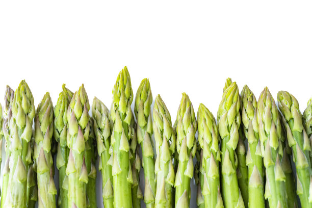 新鲜有机芦笋图片下载