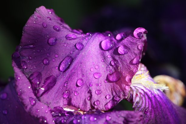雨下降图片下载