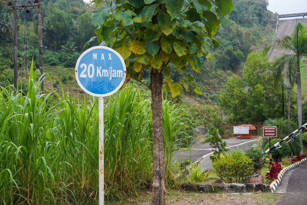 村里的自然照片图片下载