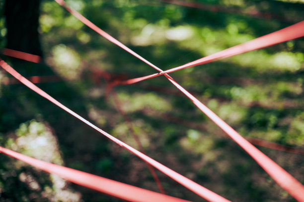 绿色森林树叶中的红色缠绕绳，环保的抽象艺术品图片下载