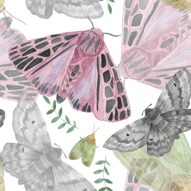 图案与水彩夜蛾。夜蝶，昆虫手绘古董插图。设计海报，贴纸壁纸，包装，纹身，邀请，贺卡图片下载