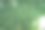 绿色无花果蔓生的常春藤图片下载