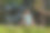 美丽的白人女性戴着太阳镜和蓝色比基尼，在海滩旁郁郁葱葱的热带树木公园里喝着混合冰饮料图片下载