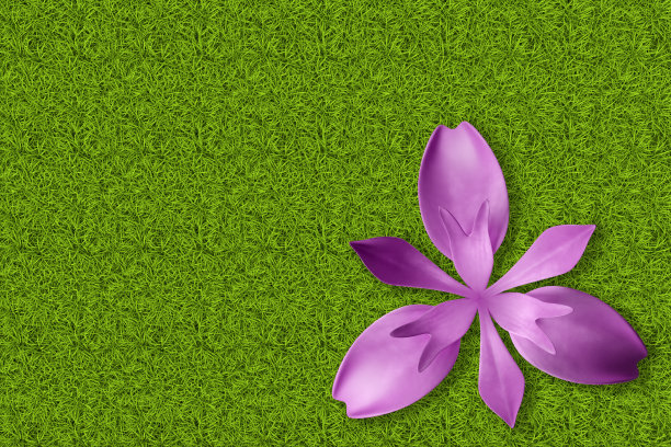 春天,夏天。绿色草地花- 3D插图图片下载