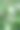 野草花图片下载