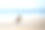 狗跳起来在半空中接球。海浪拍打着沙滩。奥克兰的夏日乐趣。图片下载