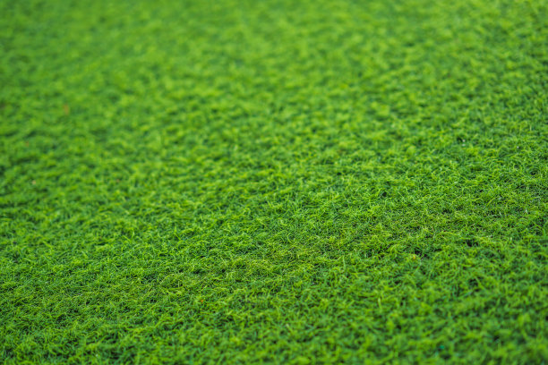 绿色草地足球或高尔夫球场背景图片下载