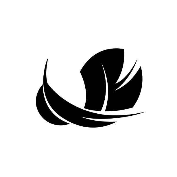 羽毛矢量图标孤立在白色背景上图片下载