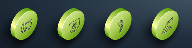 设置等距线复活节彩蛋，位置与花，花郁金香和花园软管图标。向量图片下载