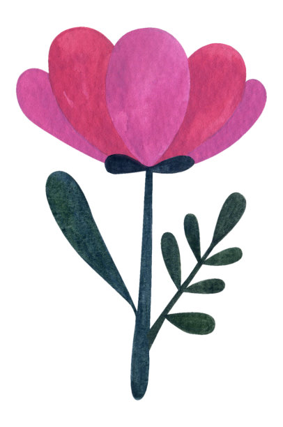 可爱的粉红色水彩画花。孤立在白色背景上。Cottagecore审美。图片下载