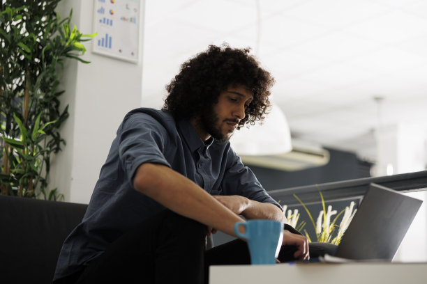 引导公司执行经理在笔记本电脑上进行演示图片下载