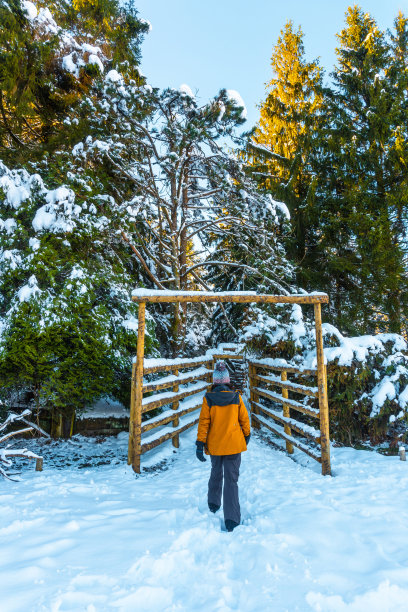 美丽的照片，一个女人走在公园森林的霜冻木入口在Oiertzun图片下载