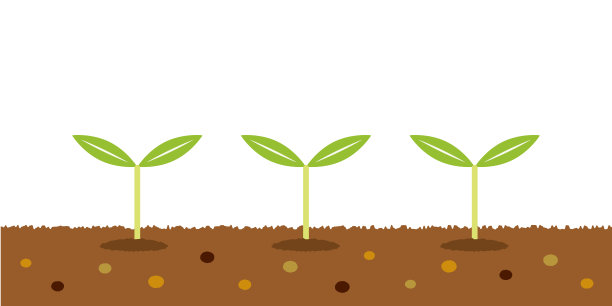 三芽在地上生长，植物生长，土壤营养丰富图片下载