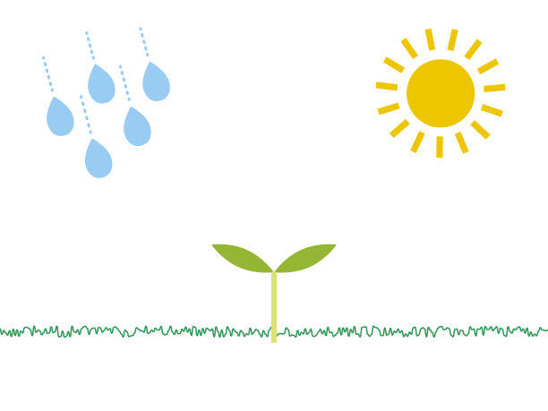 小芽，阳光和水，植物生长，图标风格插图图片下载