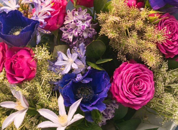 一束美丽的花作为艺术家的背景图片下载