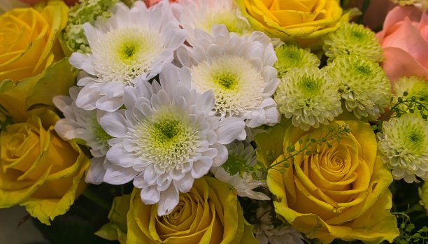 一束美丽的花作为艺术家的背景图片下载