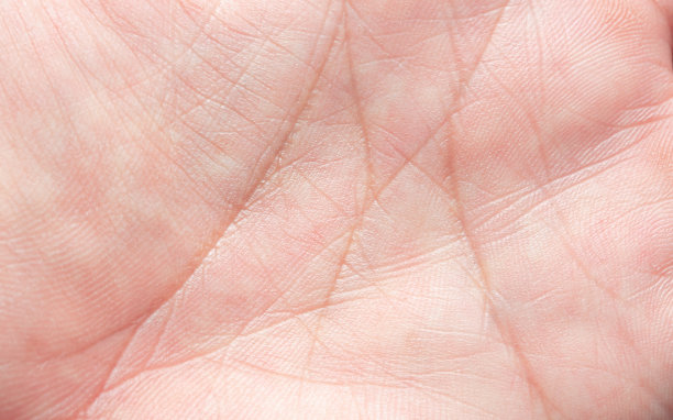 人体手掌皮肤纹理微距图像，人体手掌表面纹理微距图像，人体皮肤纹理与皱纹特写，手部特写图片下载