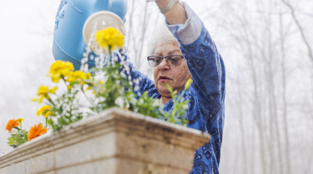 在一个雾蒙蒙的日子里，一位年长的妇女在院子里专心致志地浇花。图片下载