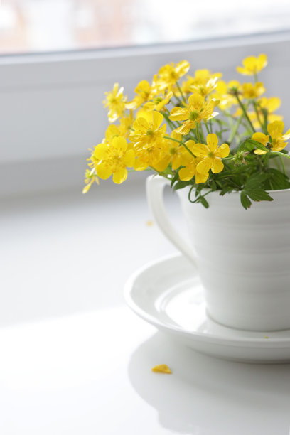 白色咖啡杯与黄色田野毛茛花束股票照片图片下载