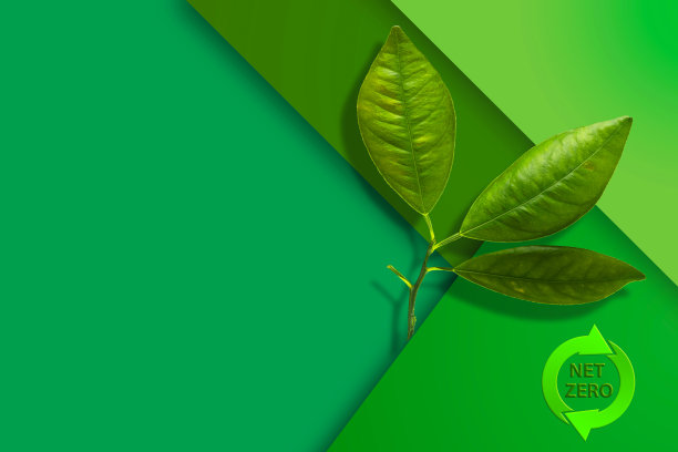 净零，绿底色带绿叶。副本的空间。零排放概念。生态。图片下载