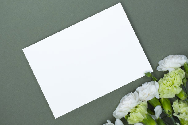 康乃馨和卡片模型图片下载