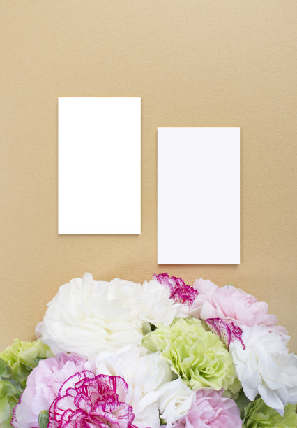 康乃馨和名片模型图片下载