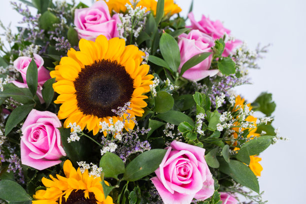 许多种类的花都被拍得很清楚图片下载