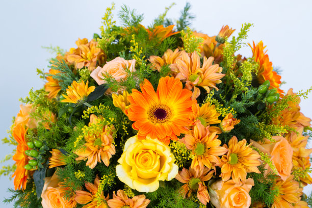 许多种类的花都被拍得很清楚图片下载