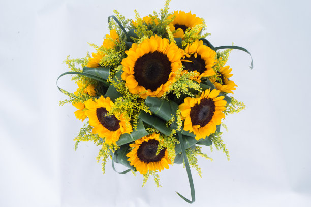 许多种类的花都被拍得很清楚图片下载