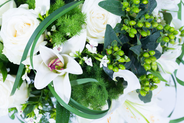 许多种类的花都被拍得很清楚图片下载