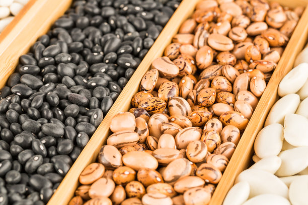 不同的豆子图片下载