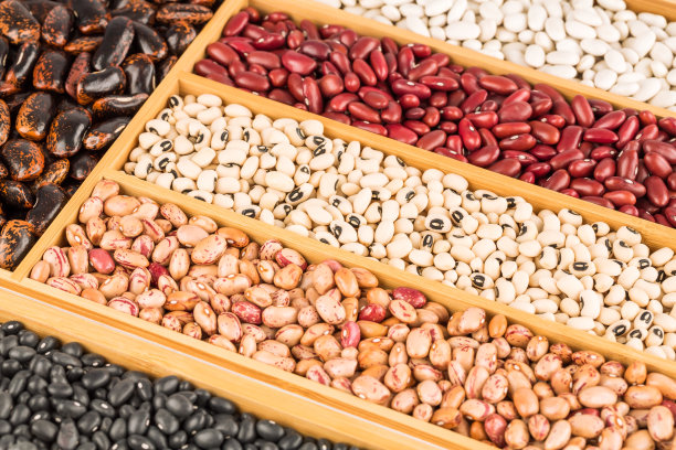 不同的豆子图片下载