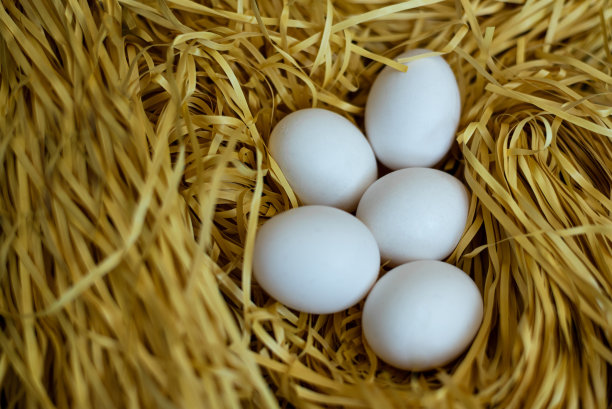 鸡蛋躺在一个装饰性的窝里。特写镜头。图片下载