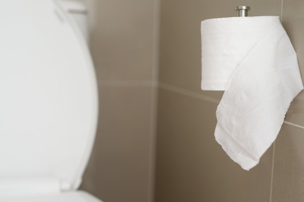 厕纸在家里的抽水马桶上。图片下载