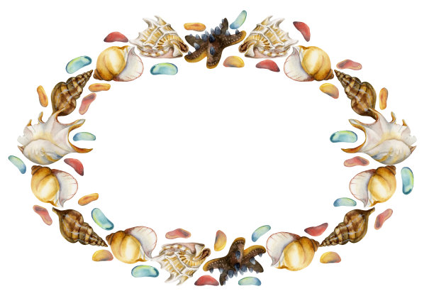 手绘水彩画异国情调的海贝壳和彩色玻璃，海星。圈圈框架。孤立在白色背景上。设计墙面艺术，婚庆，印花，面料，封面，卡片，旅游，旅游小册子。图片下载