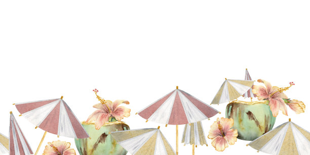 手绘水彩椰子鸡尾酒伞，芙蓉。无缝横横幅。孤立在白色背景上。设计墙面艺术，婚庆，印花，面料，封面，卡片，旅游，旅游小册子。图片下载