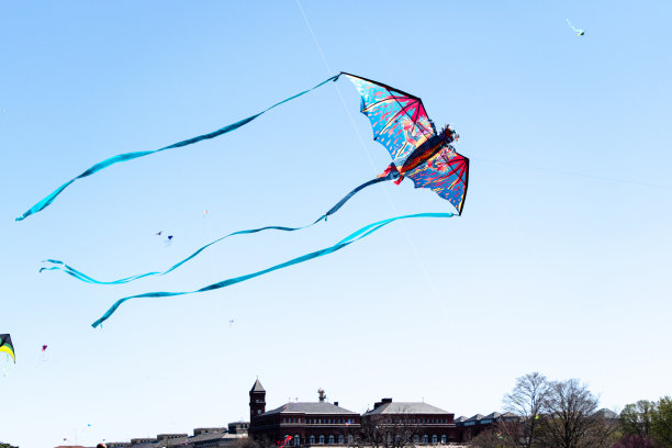 风筝节风筝在天空图片下载