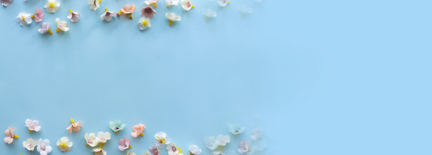 横幅顶部视图布局从花朵在蓝色背景图片下载