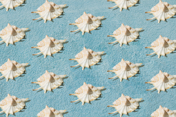 蓝色毛巾上的贝壳。最小的模式。图片下载