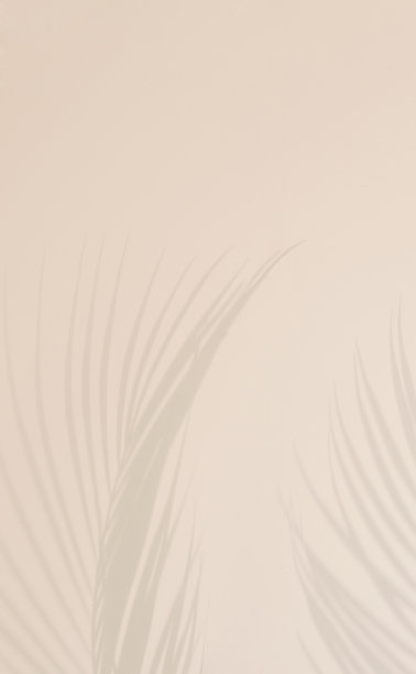 夏天的背景，顶视图太阳阴影从棕榈叶。夏日唯美的照片淡米色，复制空间、无人、度假和放松的概念。图片下载