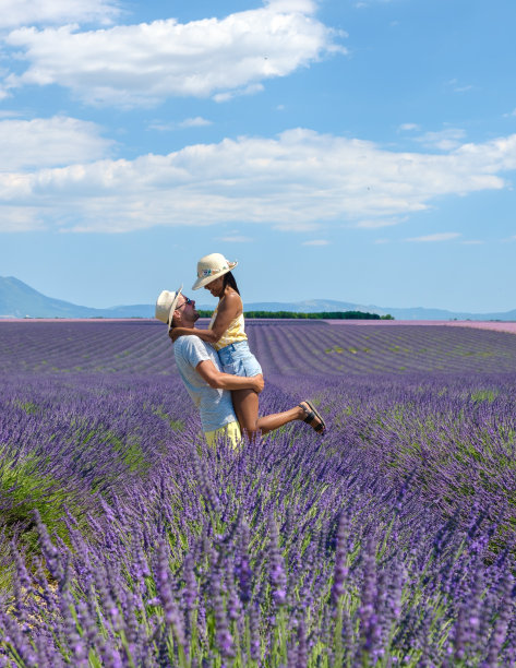 法国的普罗旺斯薰衣草田，法国南部的瓦朗索勒薰衣草田。情侣度假图片下载