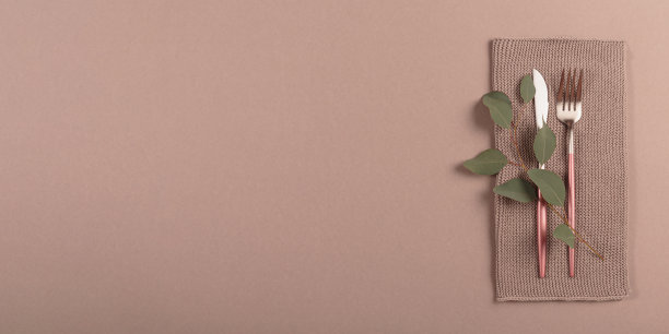 银色现代餐具和桉树树枝为mock图片下载