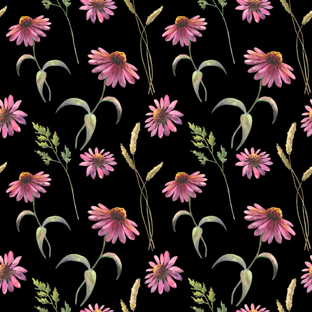 水彩无缝图案与紫锥菊花和田间草药，水彩画，手绘花卉插图，孤立在黑色背景，草药点缀。图片下载