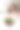 在白雪覆盖的冬季森林里，美丽的新娘身着白色婚纱，手捧花束。新娘的自然肖像图片下载