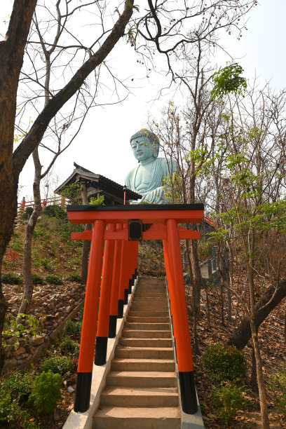 泰国佛寺里的大佛。图片下载