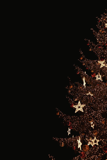 布拉格的圣诞树图片下载