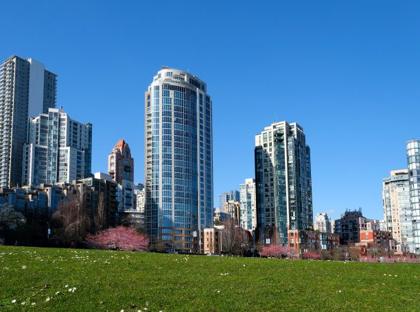 盛开的樱花枝与摩天大楼背景在春天，温哥华，不列颠哥伦比亚省，加拿大。林大伟公园樱花盛开的城市图片下载