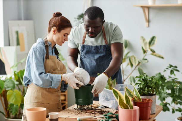 两个人一起重新种植植物，为春季做准备图片下载