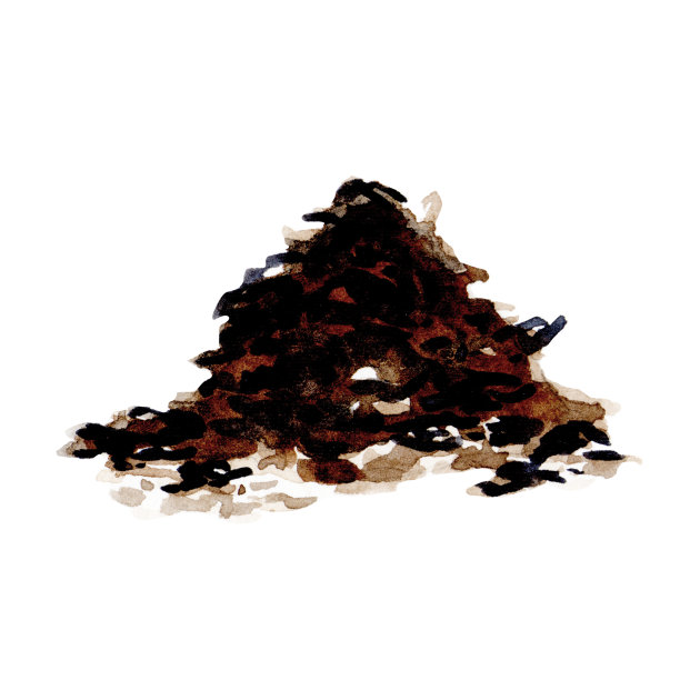 堆干茶冲泡。手绘水彩插图孤立的白色背景。干茶叶图片下载