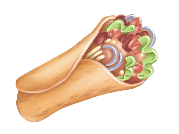 卷饼。街头食品。数码插图图片下载